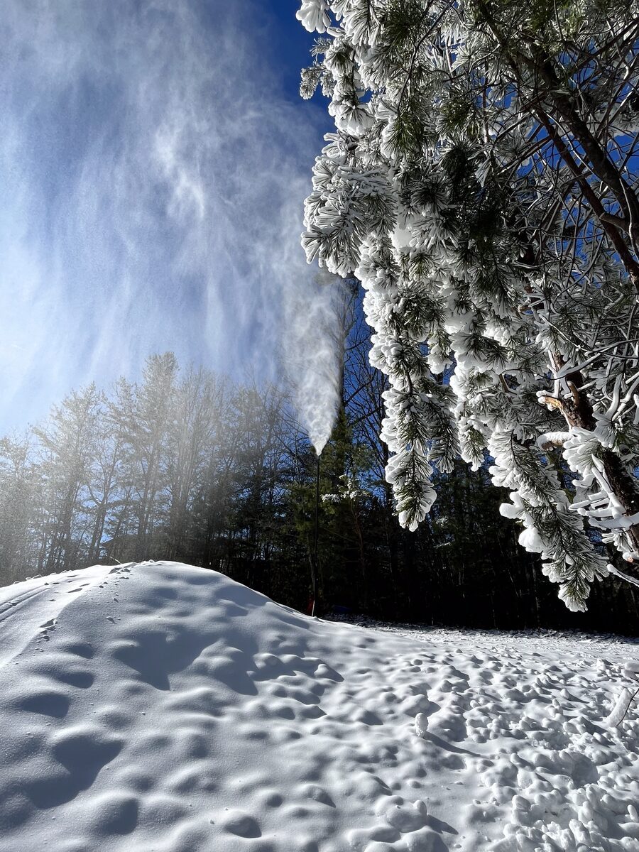 Blowing snow and tree